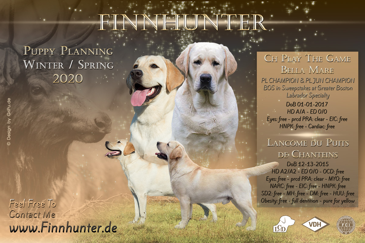 GriPu-Webdesign, die Web- und Grafikfee in Wiesbaden