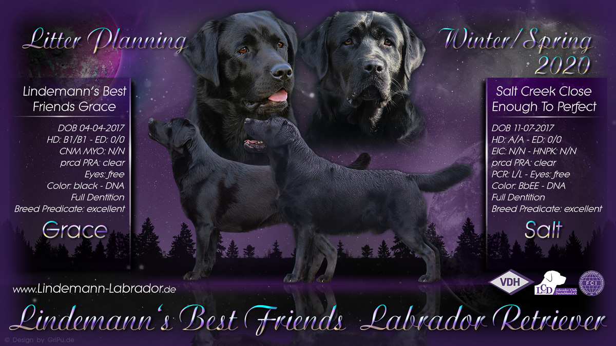 GriPu-Webdesign, die Web- und Grafikfee in Wiesbaden