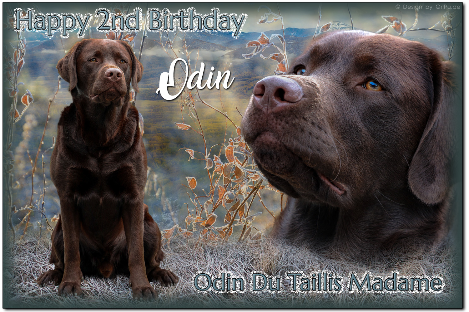 GriPu-Webdesign, die Web- und Grafikfee in Wiesbaden