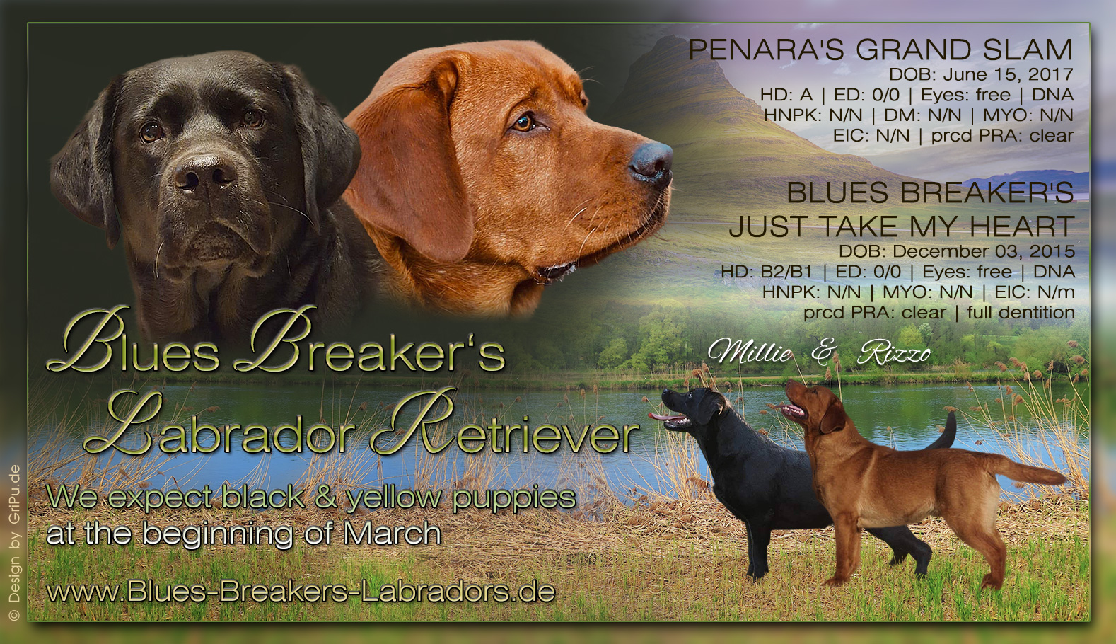 GriPu-Webdesign, die Web- und Grafikfee in Wiesbaden