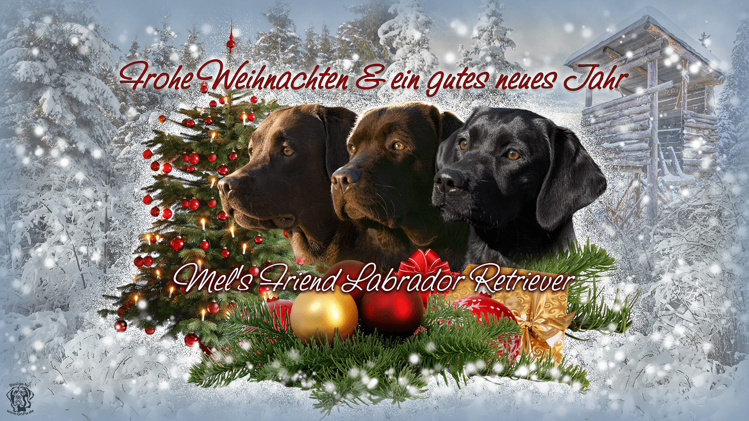 GriPu-Webdesign, die Web- und Grafikfee in Wiesbaden