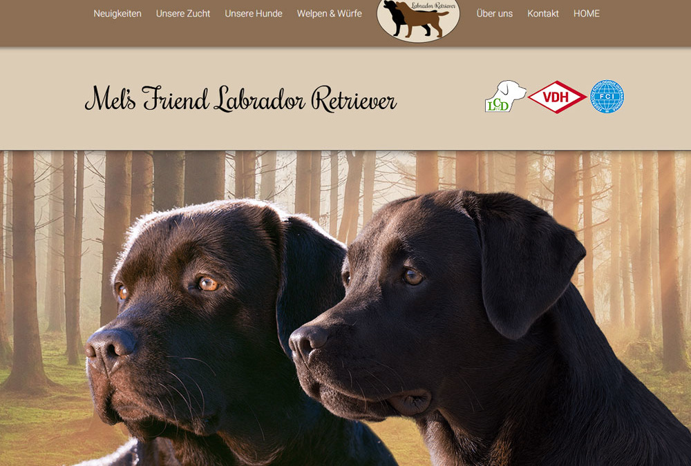 Neue Webseite