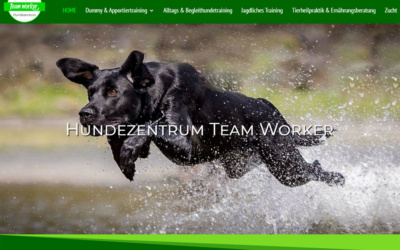 Eine neue Webseite