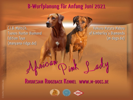 GriPu-Webdesign, die Web- und Grafikfee in Wiesbaden