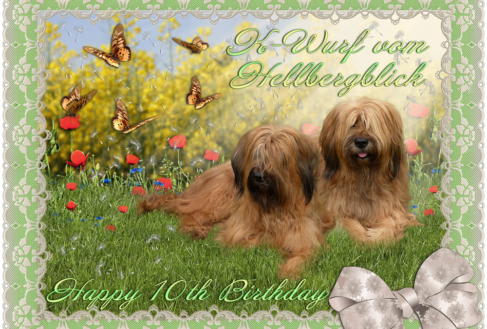 Happy Birthday K-Wurf vom Hellbergblick