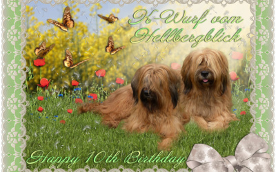 Happy Birthday K-Wurf vom Hellbergblick