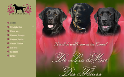Neue Webseite