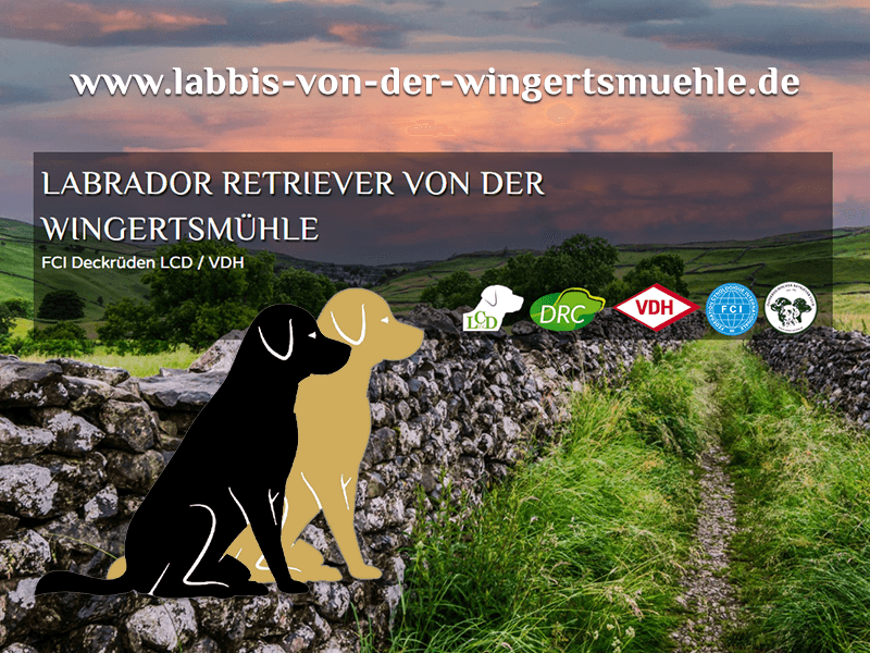Neue Deckrüden Webseite