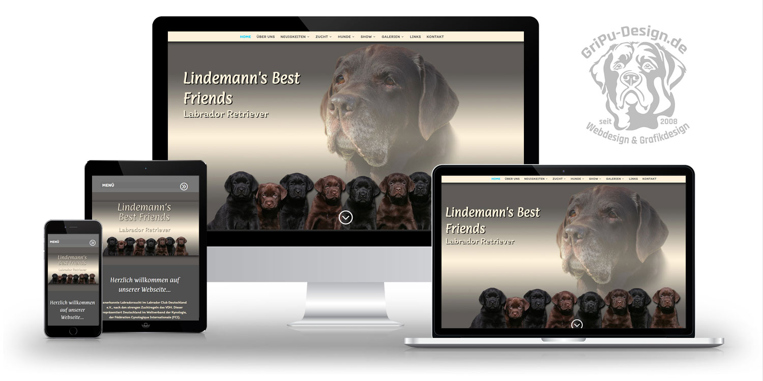 Lindemann Labrador Retriever