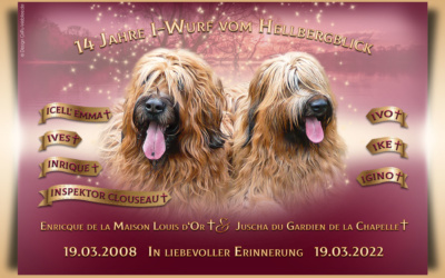 Geburtstagsanzeigen für den Kennel Briards vom Hellbergblick