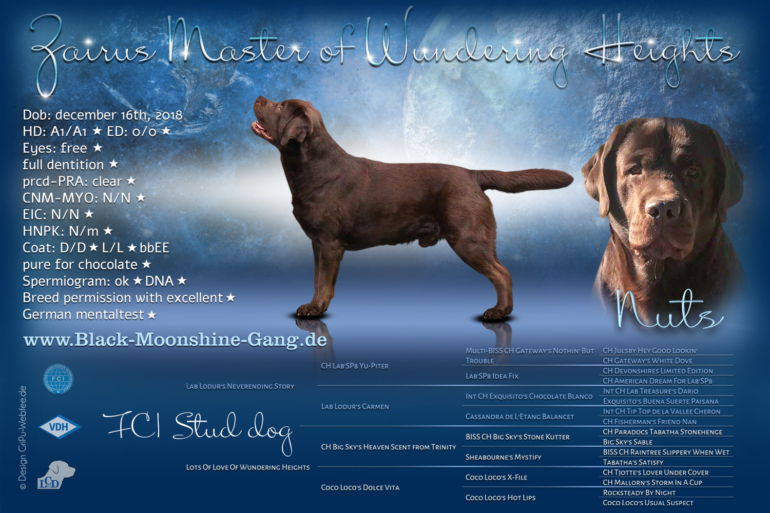 Made by GriPu-Webfee