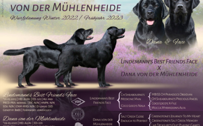 Neue Züchterwebseite & Wurfankündigung