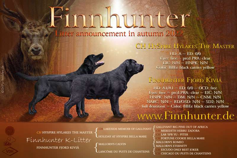 Welpenplanung im Herbst