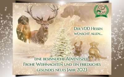 Weihnachtskarten und Collagen