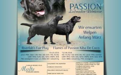 Flames of Passion N-Wurf