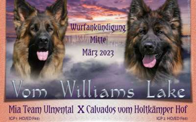 Zwinger vom Williams Lake