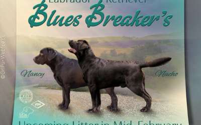 Wurfankündigung Blues Breaker’s