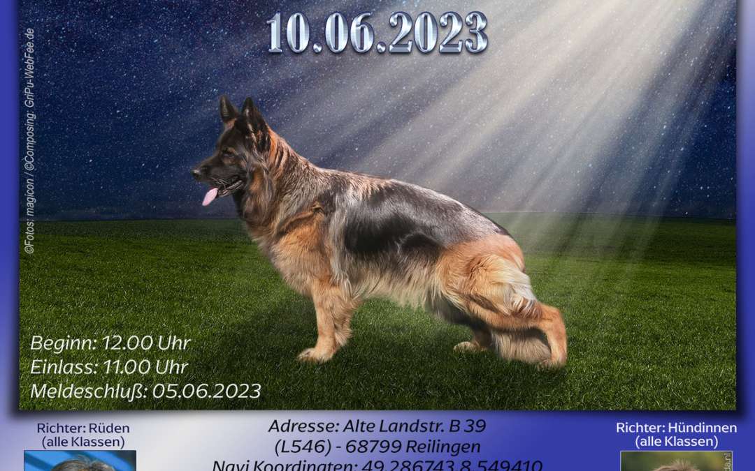 Flutlichtschau