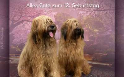 Geburtstagsanzeige