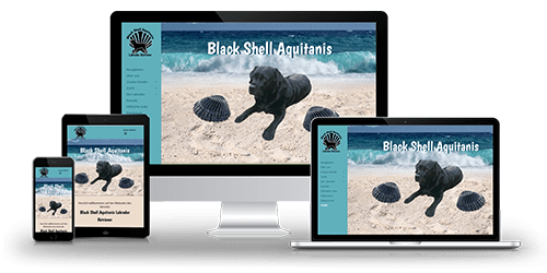 Black Shell Aquitanis