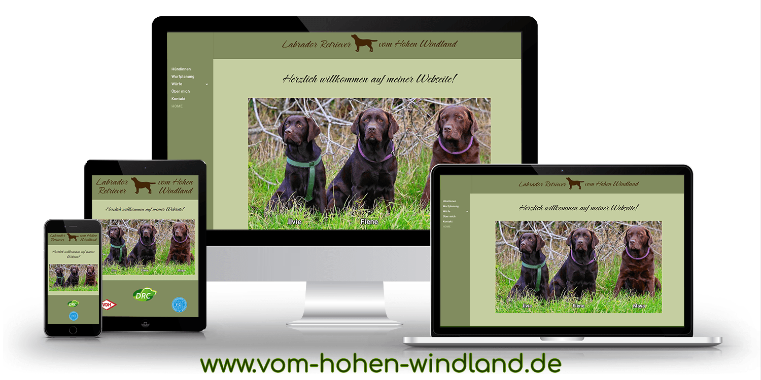 Windland Webseite Andreas Labradors