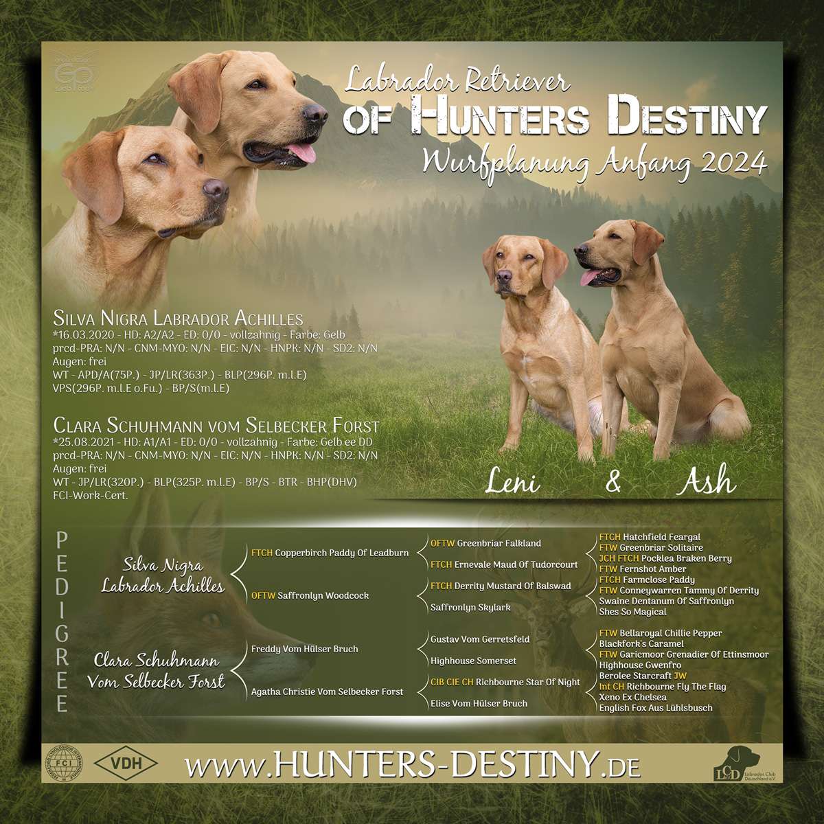 Welpenplanung Labrador Retriever of Hunters Destiny