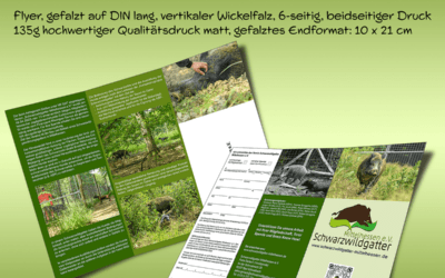 Info-Flyer