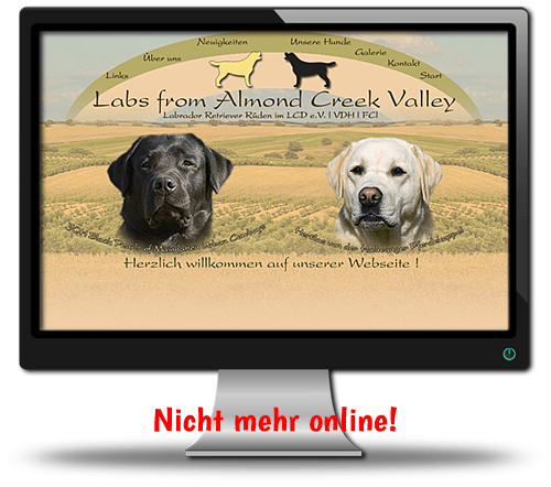 Labs from Almond Creek Valley (offline)