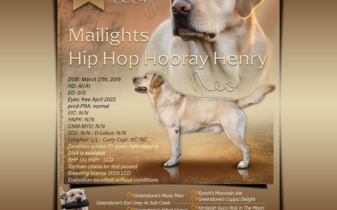 Mailights Hip Hip Hooray Henry