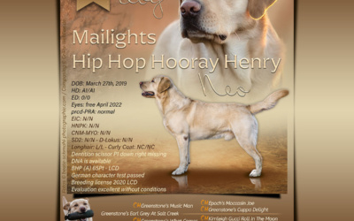 Mailights Hip Hip Hooray Henry