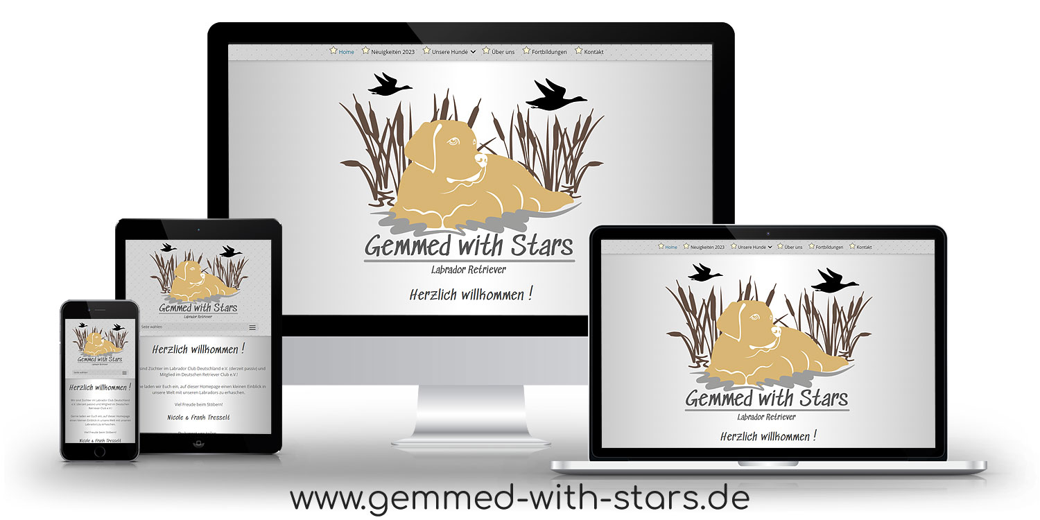 Gemmed with Stars Labrador Retriever