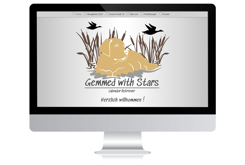 Gemmed with Stars Labrador Retriever