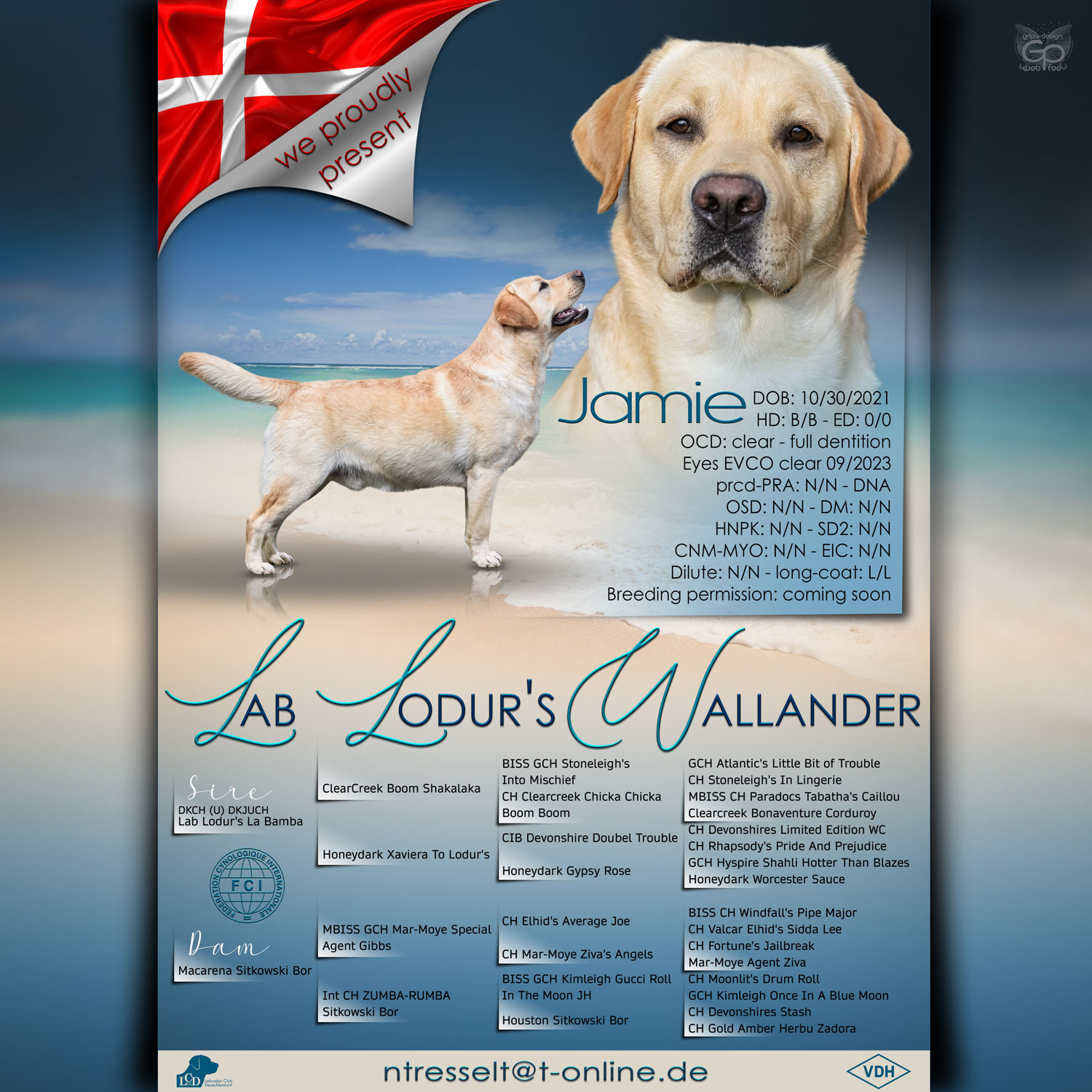 Deckrüdenpräsentation