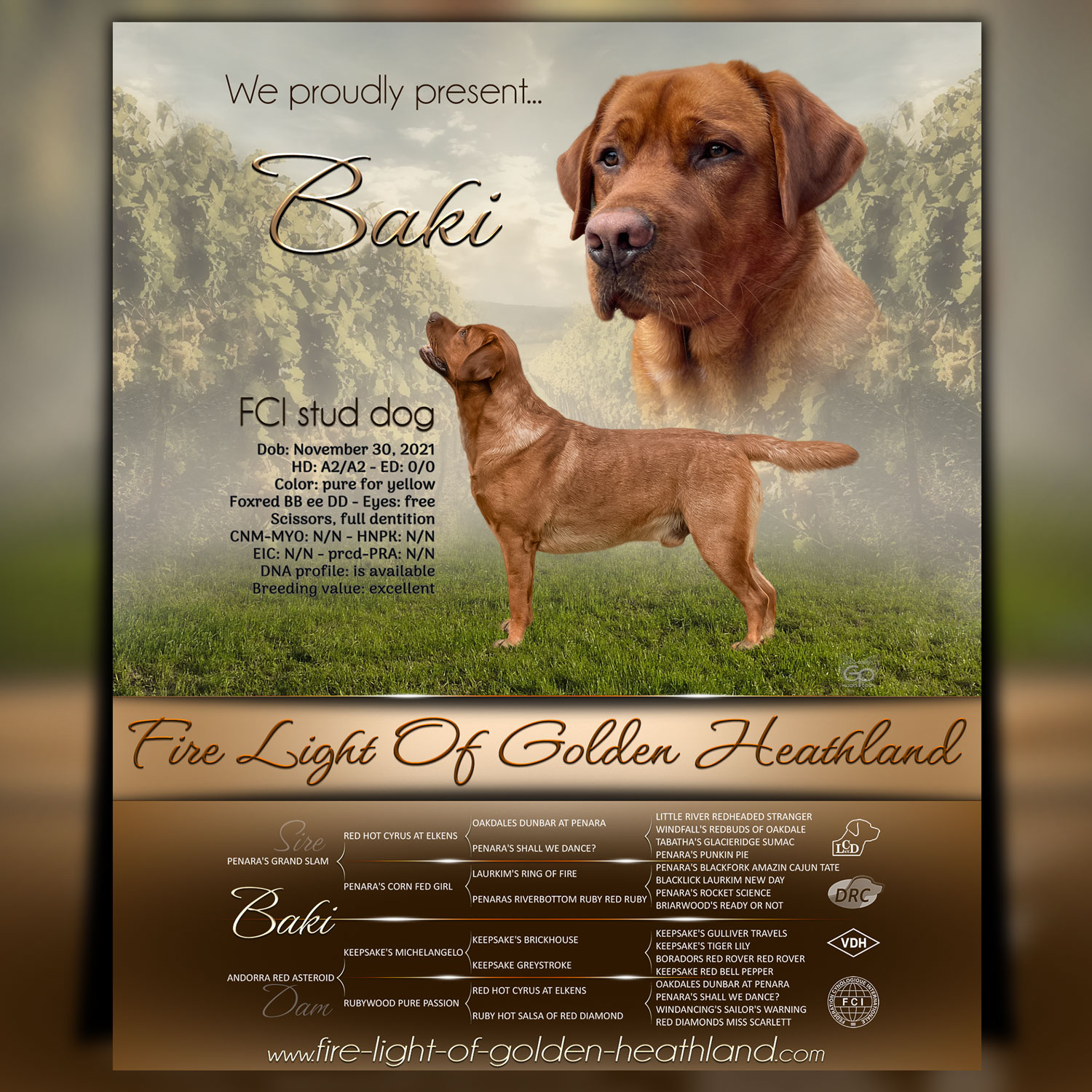 Deckrüdenpräsentation