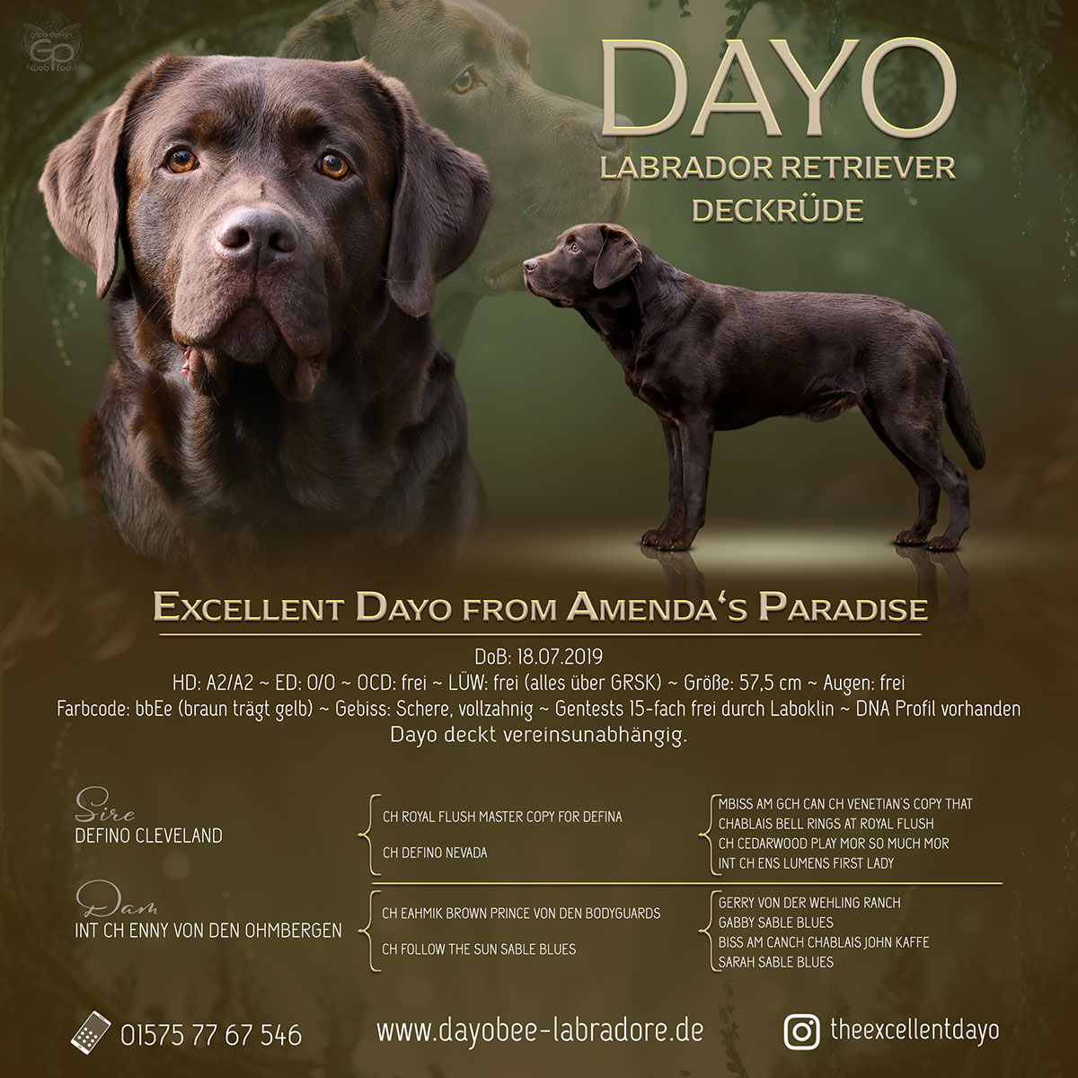 Deckrüdenpräsentation