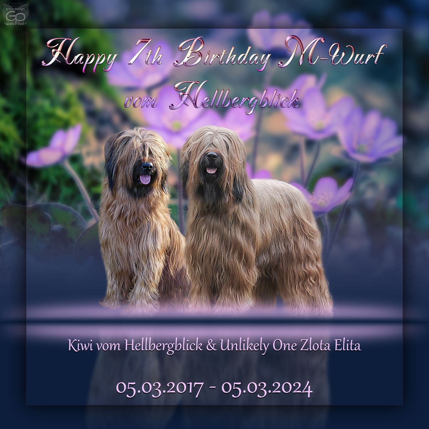 Geburtstag M-Wurf vom Hellbergblick