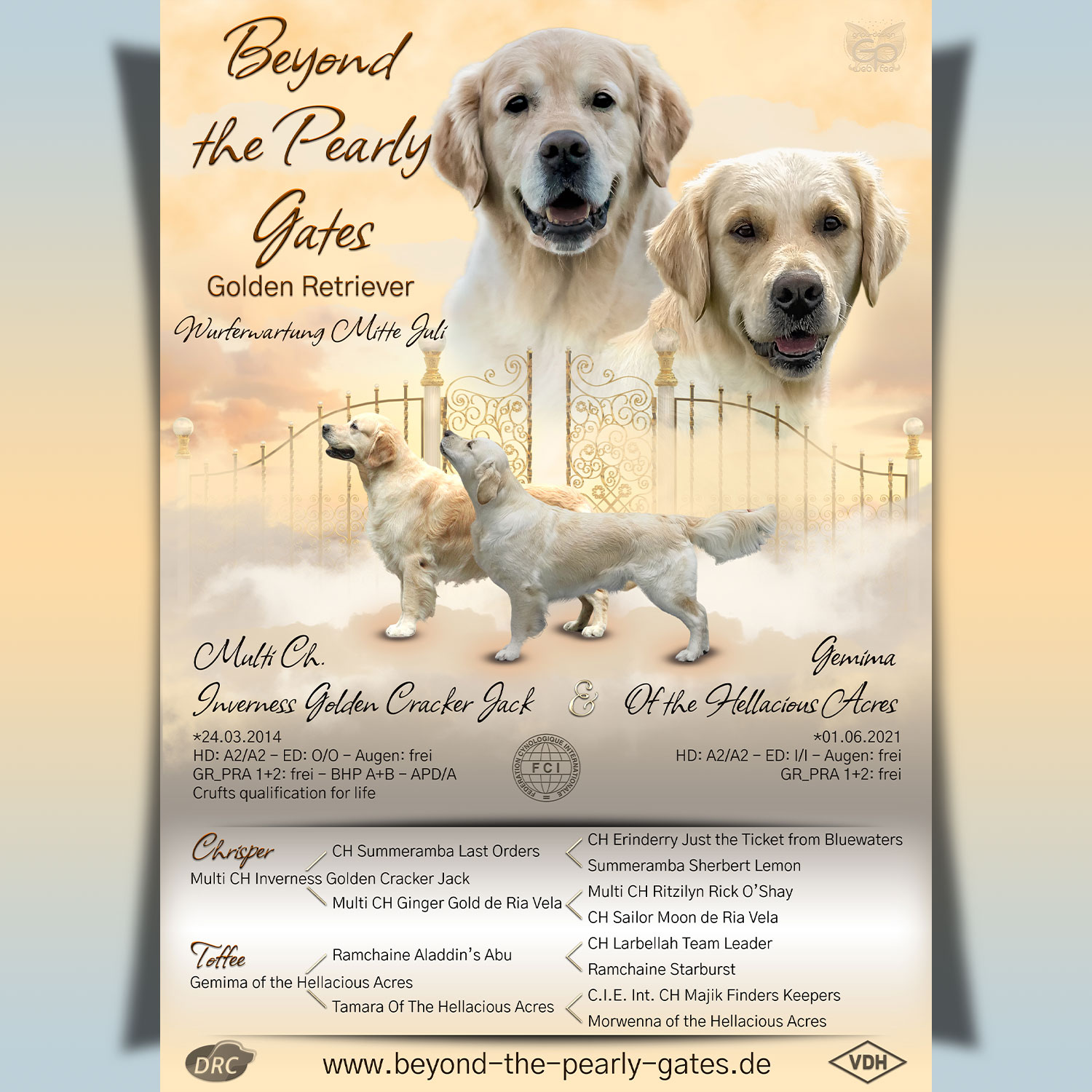 Beyond the Pearly Gates Wurfankündigung