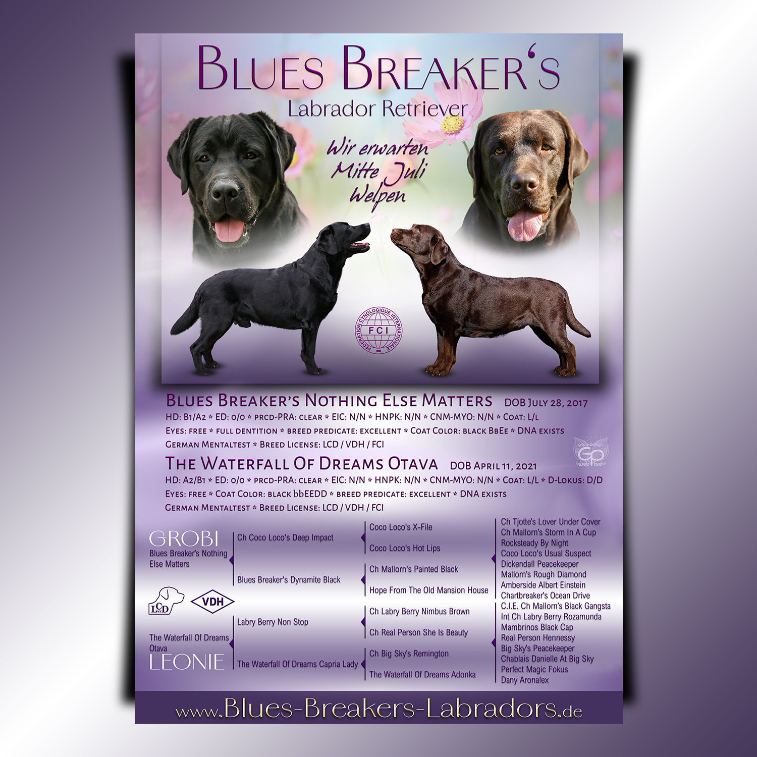 Blues Breaker's Wurfankündigung