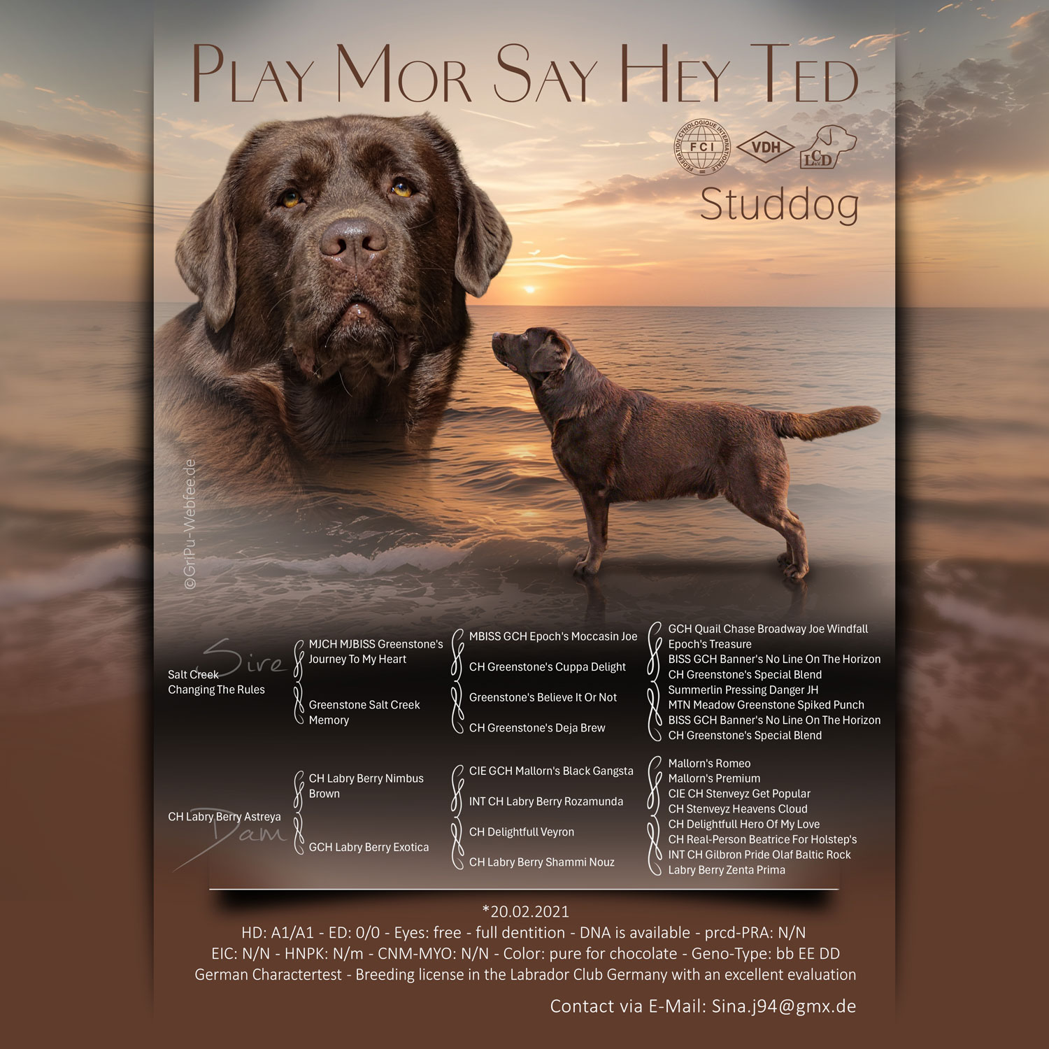 Deckrüdenpräsentation