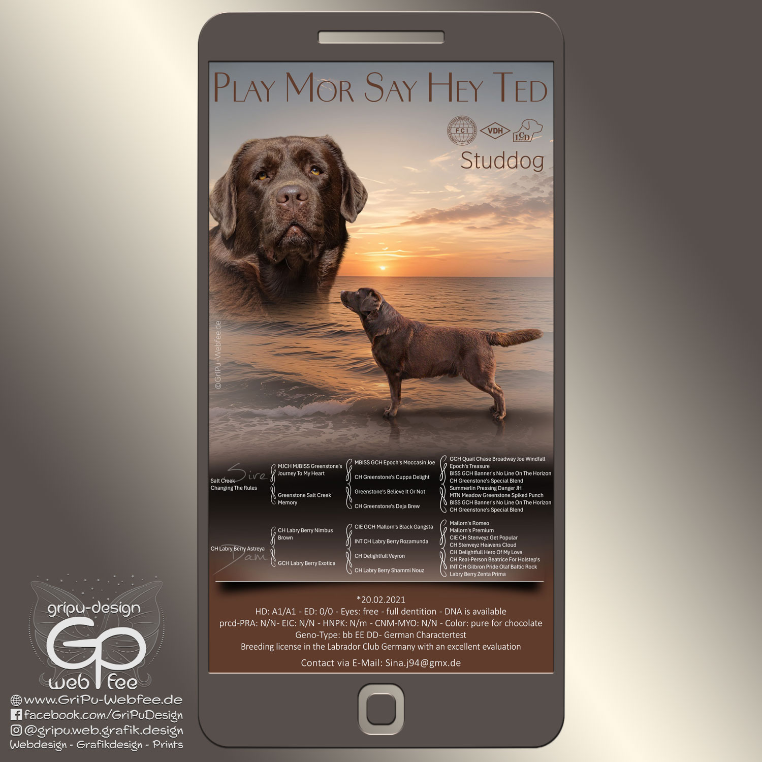 Deckrüden - Präsentation