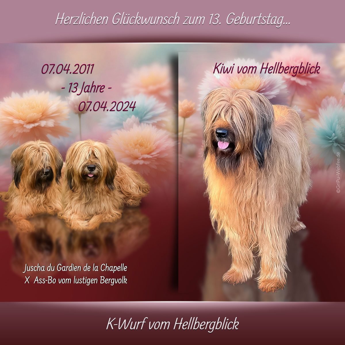 13. Geburtstag K-Wurf vom Hellbergblick