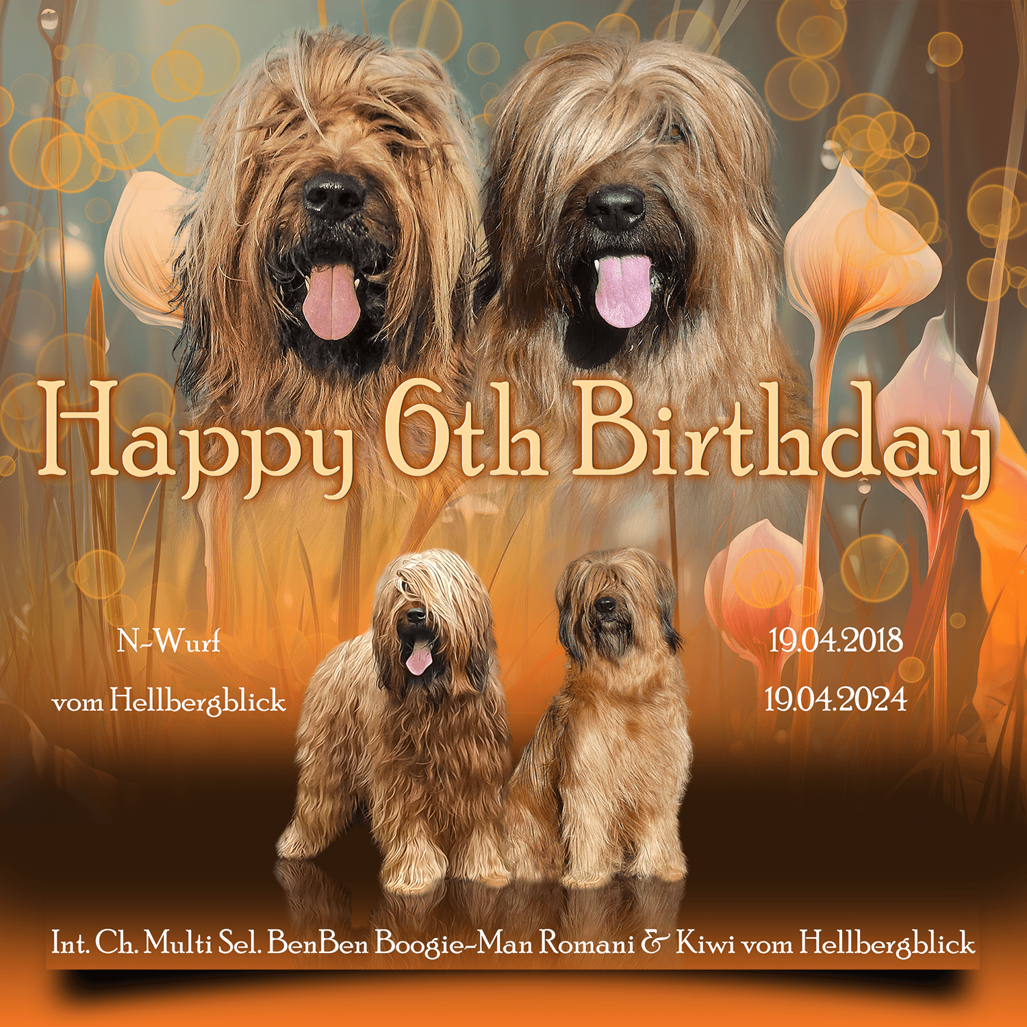 Geburtstagsgrüße von der Züchterin