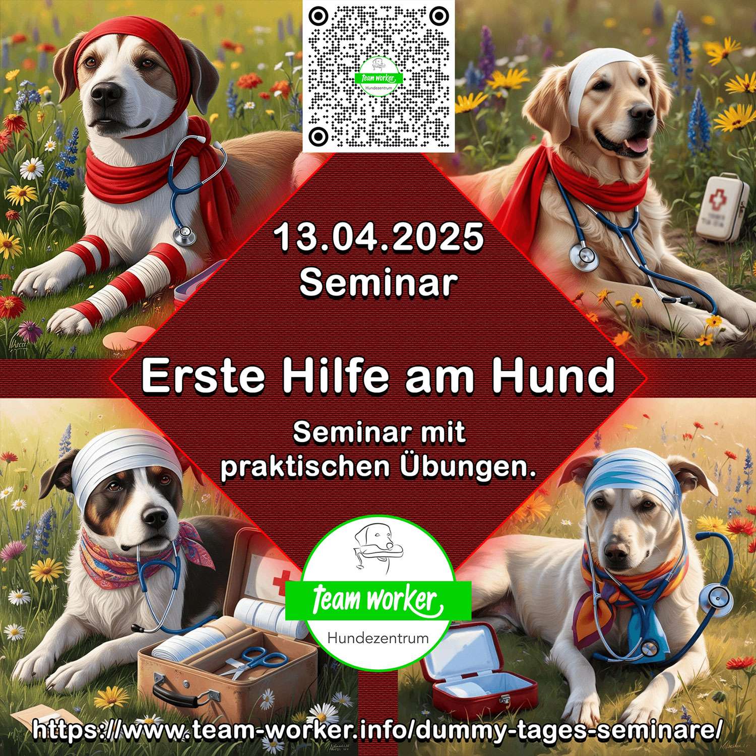 Werbung für Hundeschule