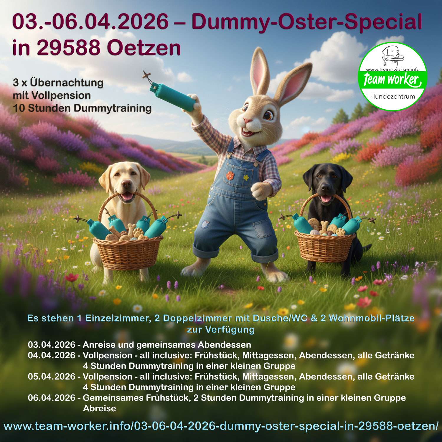 Werbung für Hundeschule