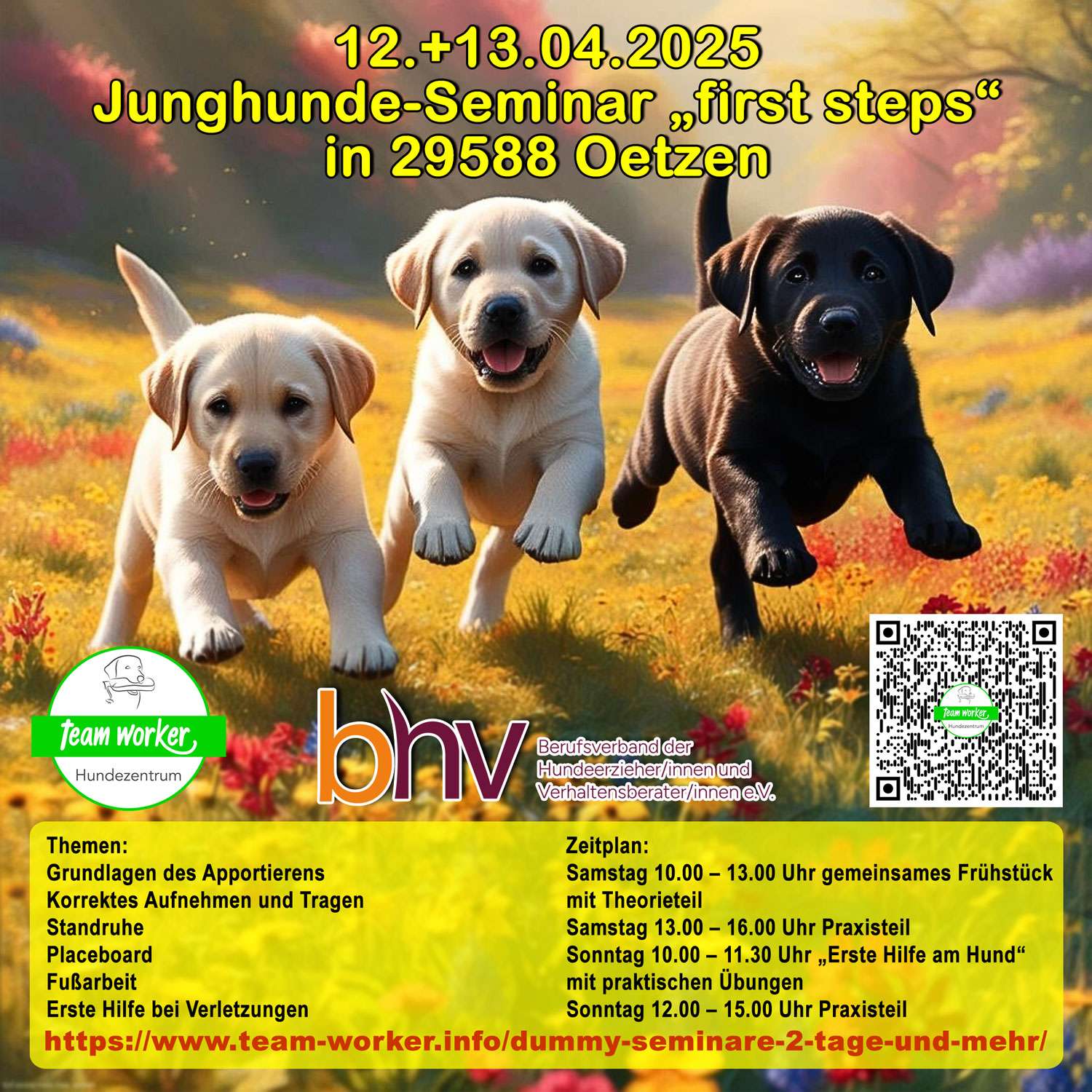 Werbung für Hundeschule