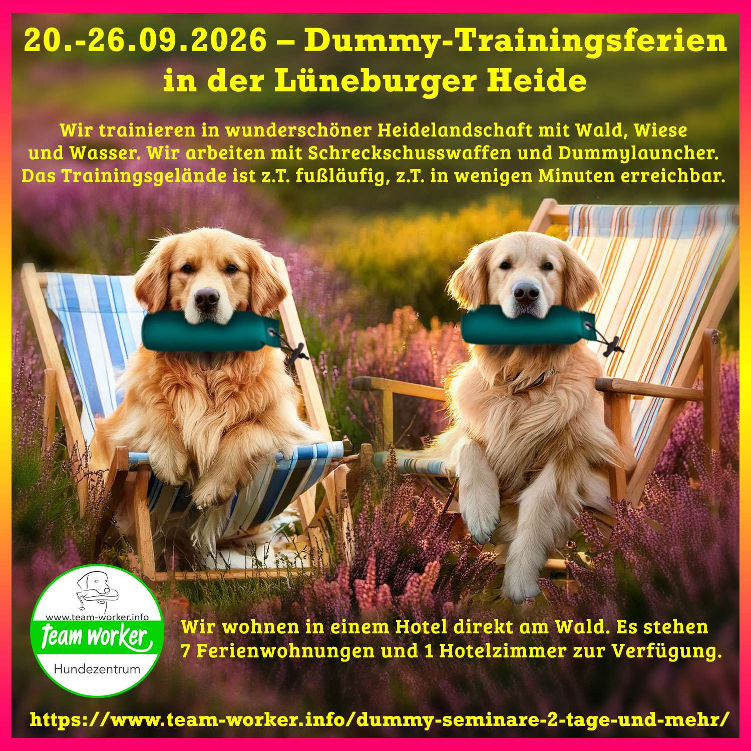 Werbung für Hundeschule